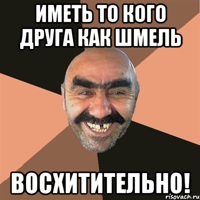 иметь то кого друга как шмель восхитительно!, Мем Я твой дом труба шатал