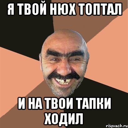 я твой нюх топтал и на твои тапки ходил, Мем Я твой дом труба шатал