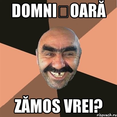 domnișoară zămos vrei?, Мем Я твой дом труба шатал