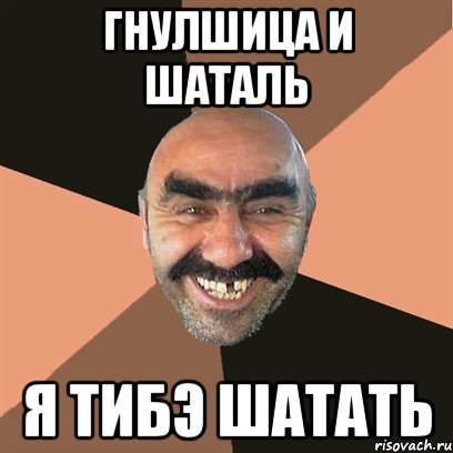 гнулшица и шаталь я тибэ шатать, Мем Я твой дом труба шатал