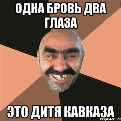 одна бровь два глаза это дитя кавказа, Мем Я твой дом труба шатал