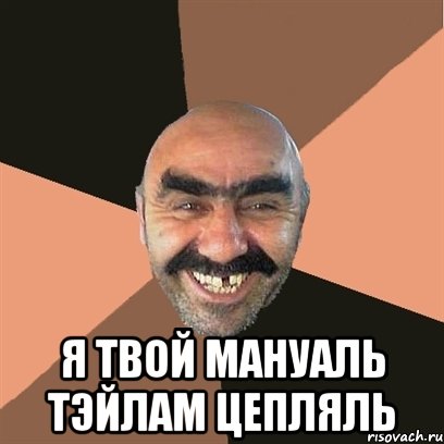  я твой мануаль тэйлам цепляль, Мем Я твой дом труба шатал