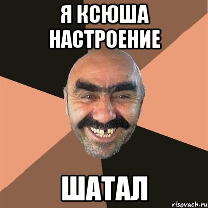 я ксюша настроение шатал, Мем Я твой дом труба шатал