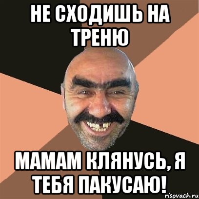 не сходишь на треню мамам клянусь, я тебя пакусаю!, Мем Я твой дом труба шатал