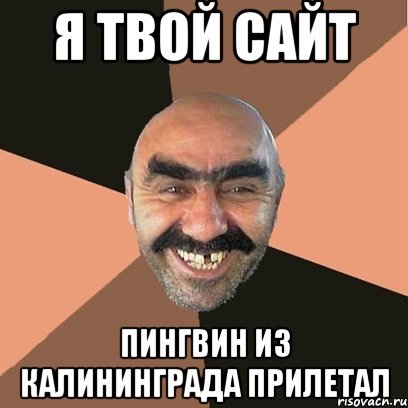 я твой сайт пингвин из калининграда прилетал, Мем Я твой дом труба шатал