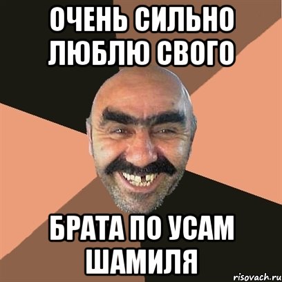очень сильно люблю свого брата по усам шамиля, Мем Я твой дом труба шатал