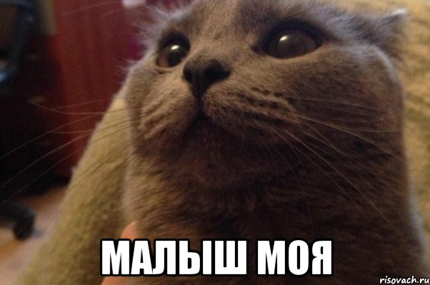  малыш моя, Мем ыфв