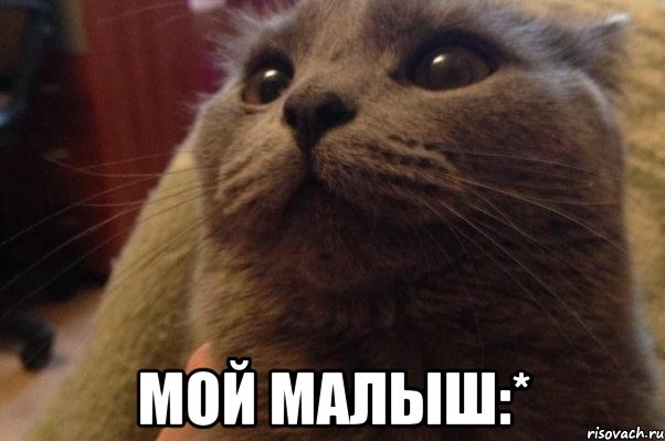  мой малыш:*, Мем ыфв