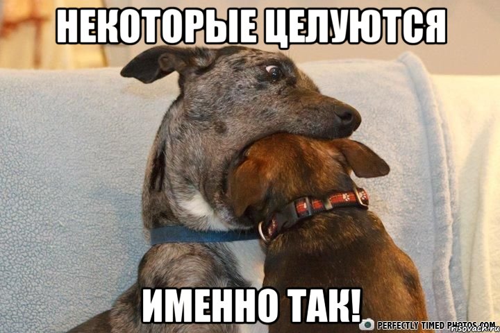 некоторые целуются именно так!, Мем ЫФВФЫВ
