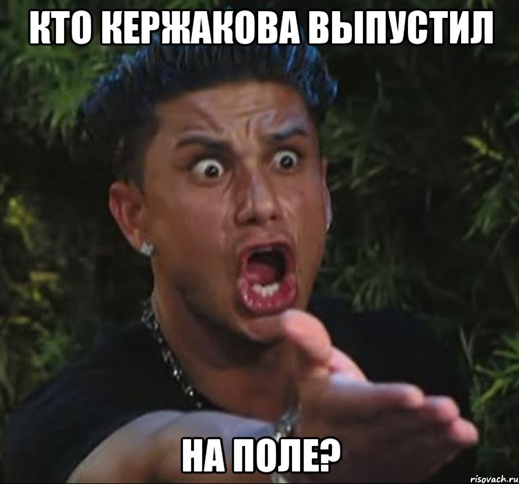 кто кержакова выпустил на поле?, Мем Ёбаная тварьблять