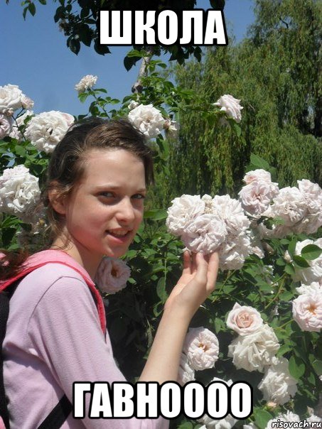 школа гавноооо