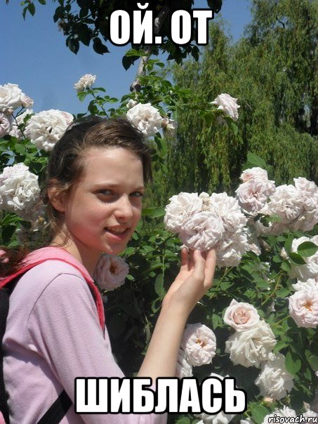 ой. от шиблась