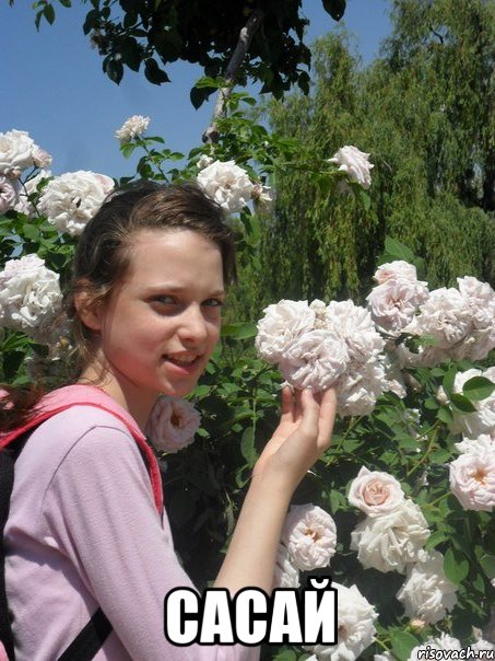  сасай
