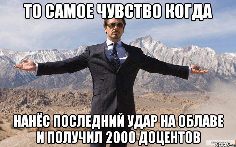 то самое чувство когда нанёс последний удар на облаве и получил 2000 доцентов, Мем железный человек