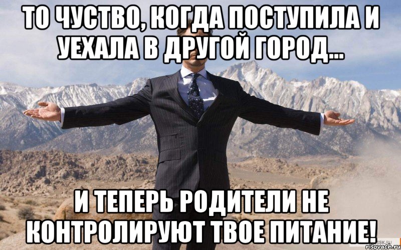 то чуство, когда поступила и уехала в другой город... и теперь родители не контролируют твое питание!, Мем железный человек