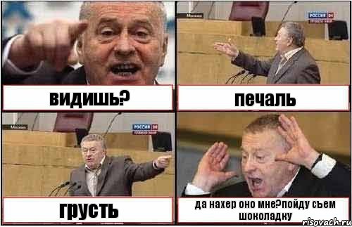 видишь? печаль грусть да нахер оно мне?пойду съем шоколадку, Комикс жиреновский