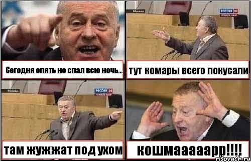 Сегодня опять не спал всю ночь... тут комары всего покусали там жужжат под ухом кошмааааарр!!!, Комикс жиреновский