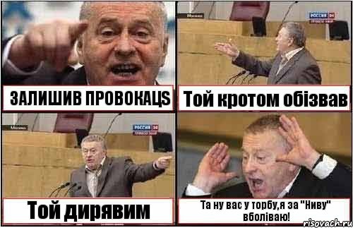 ЗАЛИШИВ ПРОВОКАЦS Той кротом обiзвав Той дирявим Та ну вас у торбу,я за "Ниву" вболiваю!, Комикс жиреновский