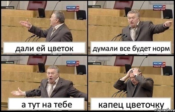 дали ей цветок думали все будет норм а тут на тебе капец цветочку, Комикс Жирик в шоке хватается за голову