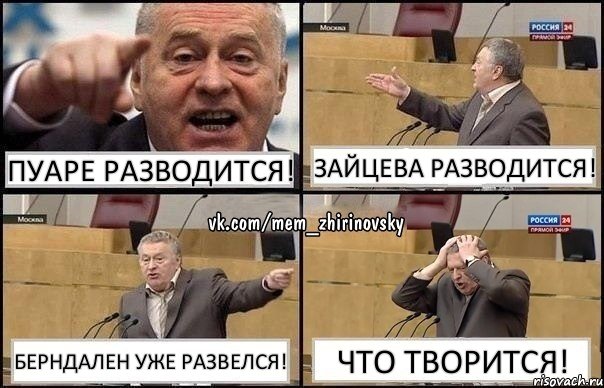 Пуаре разводится! Зайцева разводится! Берндален уже развелся! Что творится!, Комикс Жирик