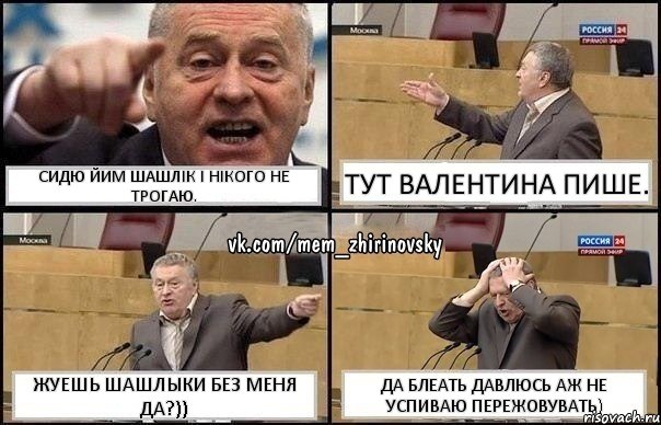 сидю йим шашлік і нікого не трогаю. тут валентина пише. жуешь шашлыки без меня да?)) да блеать давлюсь аж не успиваю пережовувать), Комикс Жирик