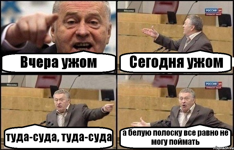 Вчера ужом Сегодня ужом туда-суда, туда-суда а белую полоску все равно не могу поймать, Комикс Жириновский