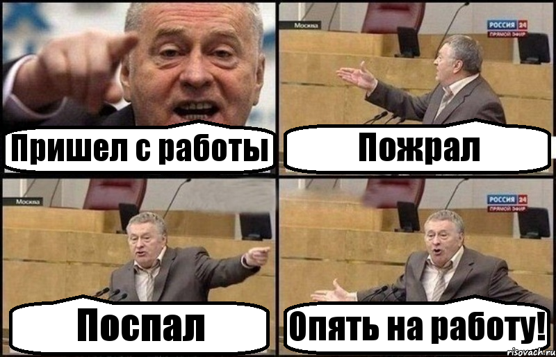 Пришел с работы Пожрал Поспал Опять на работу!, Комикс Жириновский