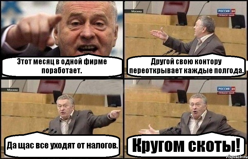 Этот месяц в одной фирме поработает. Другой свою контору переоткрывает каждые полгода. Да щас все уходят от налогов. Кругом скоты!, Комикс Жириновский