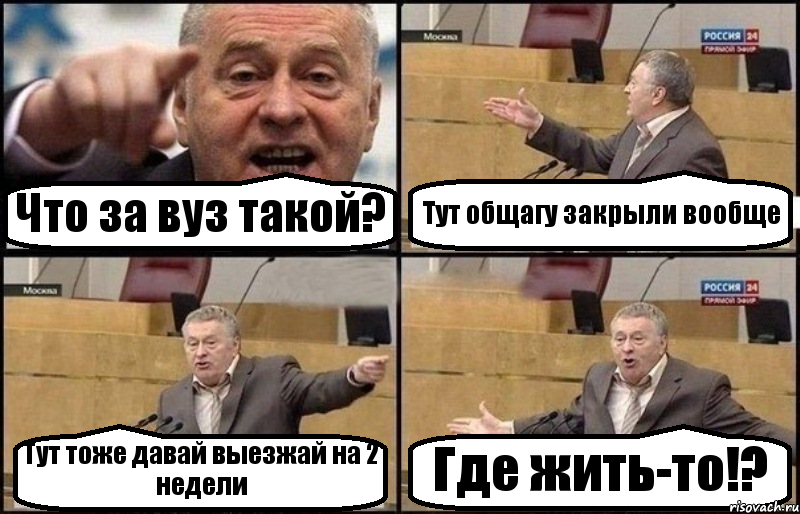 Что за вуз такой? Тут общагу закрыли вообще Тут тоже давай выезжай на 2 недели Где жить-то!?, Комикс Жириновский