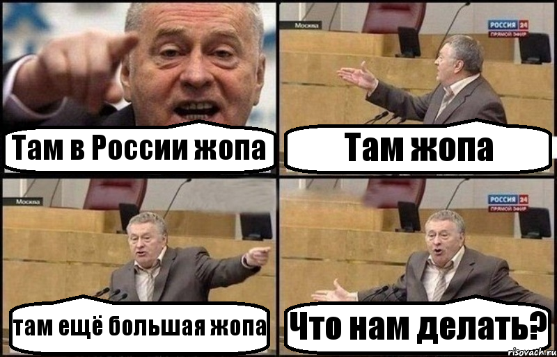 Там в России жопа Там жопа там ещё большая жопа Что нам делать?, Комикс Жириновский