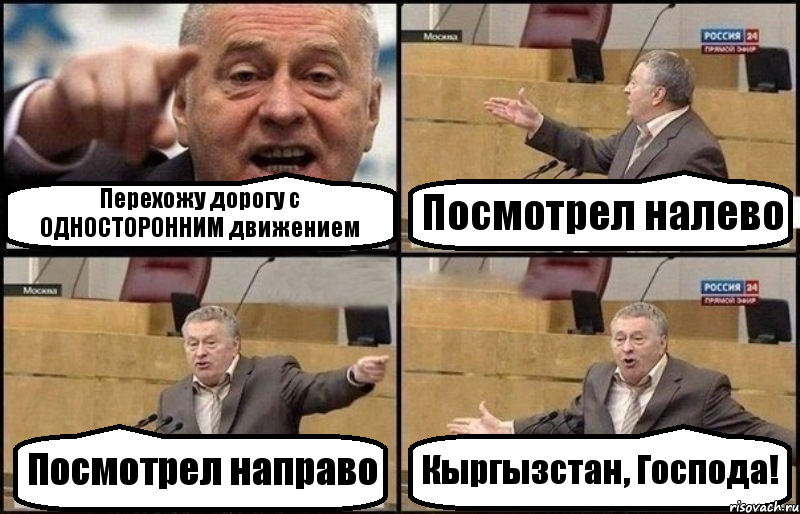 Перехожу дорогу с ОДНОСТОРОННИМ движением Посмотрел налево Посмотрел направо Кыргызстан, Господа!, Комикс Жириновский