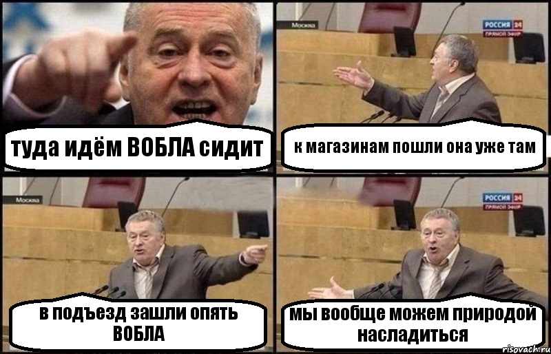 туда идём ВОБЛА сидит к магазинам пошли она уже там в подъезд зашли опять ВОБЛА мы вообще можем природой насладиться, Комикс Жириновский