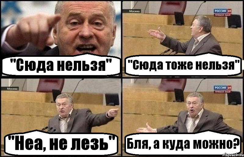 "Сюда нельзя" "Сюда тоже нельзя" "Неа, не лезь" Бля, а куда можно?, Комикс Жириновский