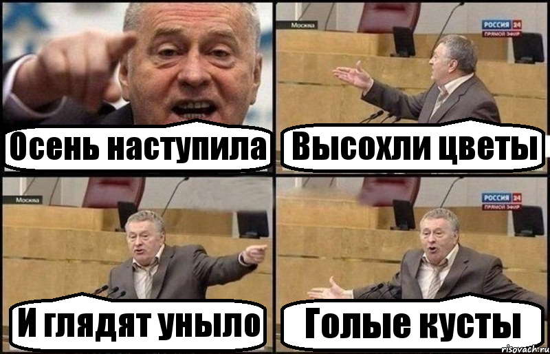 Осень наступила Высохли цветы И глядят уныло Голые кусты, Комикс Жириновский