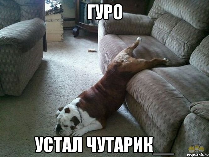 гуро устал чутарик__, Мем жтраф
