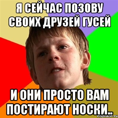 я сейчас позову своих друзей гусей и они просто вам постирают носки.., Мем Злой школьник