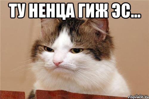 ту hенца гиж эс... , Мем 15