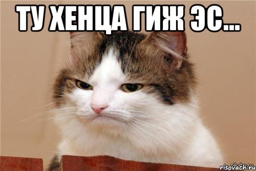 ту хенца гиж эс... , Мем 15