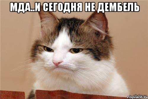мда..и сегодня не дембель , Мем 15