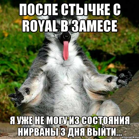 после стычке с royal в замесе я уже не могу из состояния нирваны 3 дня выйти...