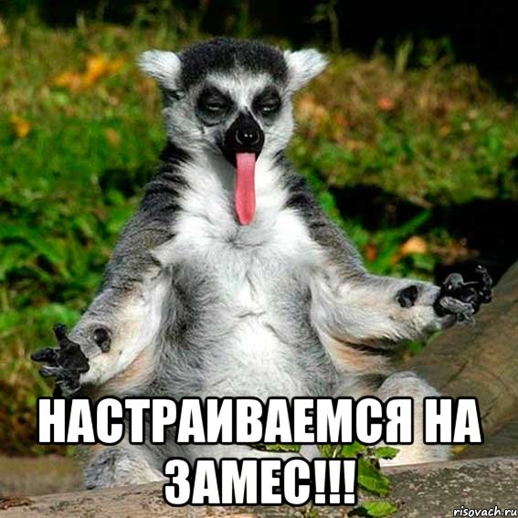  настраиваемся на замес!!!