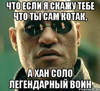 что если я скажу тебе что ты сам котак, а хан соло легендарный воин, Мем  а что если я скажу тебе