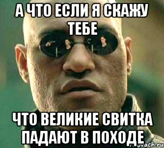 а что если я скажу тебе что великие свитка падают в походе, Мем  а что если я скажу тебе