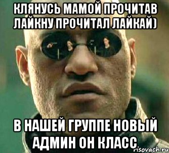 клянусь мамой прочитав лайкну прочитал лайкай) в нашей группе новый админ он класс