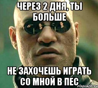 через 2 дня, ты больше не захочешь играть со мной в пес, Мем  а что если я скажу тебе