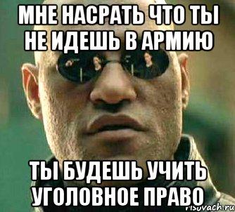 мне насрать что ты не идешь в армию ты будешь учить уголовное право, Мем  а что если я скажу тебе