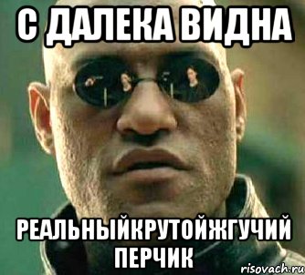 с далека видна реальныйкрутойжгучий перчик, Мем  а что если я скажу тебе