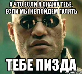 а что если я скажу тебе, если мы не пойдем гулять тебе пизда, Мем  а что если я скажу тебе