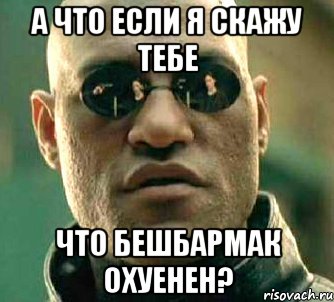 а что если я скажу тебе что бешбармак охуенен?, Мем  а что если я скажу тебе