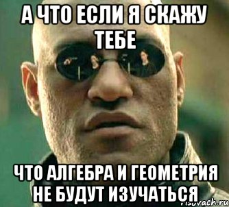 а что если я скажу тебе что алгебра и геометрия не будут изучаться, Мем  а что если я скажу тебе
